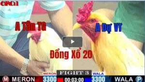 Trận 3 CPC1 10/05/2025