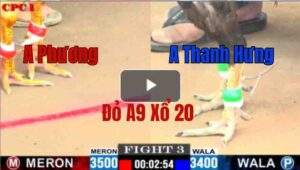 Trận 3 CPC1 22/05/2025