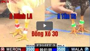 Trận 3 CPC1 29/05/2025