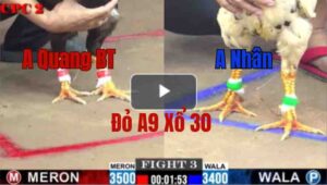 Trận 3 CPC2 21/05/2025