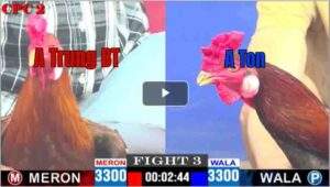 Trận 3 CPC3 02/05/2025