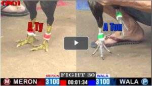 Trận 30 CPC1 01/05/2025