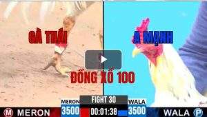 Trận 30 CPC3 25/05/2025