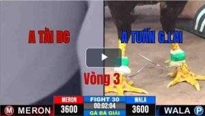 Trận 30 CPC3 31/05/2025