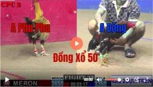 Trận 33 CPC2 23/05/2025