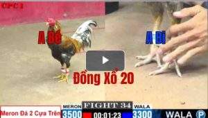 Trận 34 CPC1 27/05/2025