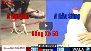 Trận 34 CPC2 23/05/2025