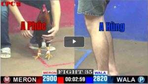 Trận 35 CPC3 02/05/2025