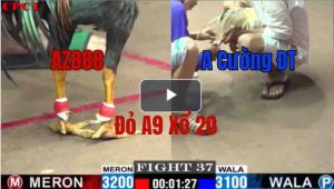 Trận 37 CPC1 23/05/2025