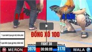 Trận 38 CPC3 14/05/2025