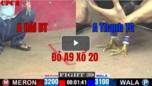 Trận 39 CPC1 13/05/2025