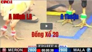 Trận 4 CPC1 08/05/2025