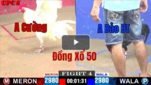 Trận 4 CPC1 13/05/2025