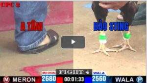 Trận 4 CPC2 04/05/2025