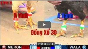 Trận 4 CPC2 28/05/2025