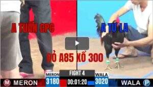 Trận 4 CPC3 07/05/2025