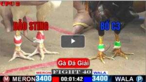 Trận 40 CPC2 04/05/2025