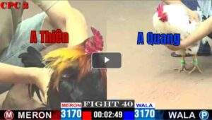 Trận 40 CPC3 02/05/2025