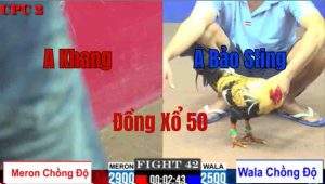 Trận 42 CPC2 23/05/2025