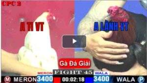 Trận 45 CPC2 04/05/2025