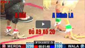 Trận 5 CPC1 23/05/2025