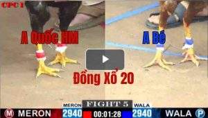 Trận 5 CPC1 27/05/2025