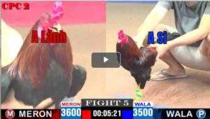 Trận 5 CPC3 02/05/2025