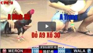 Trận 6 CPC2 21/05/2025