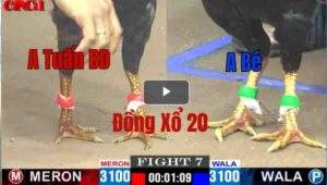 Trận 7 CPC1 10/05/2025