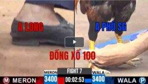 Trận 7 CPC3 07/05/2025