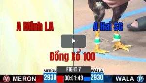 Trận 7 CPC3 31/05/2025