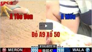 Trận 9 CPC2 28/05/2025