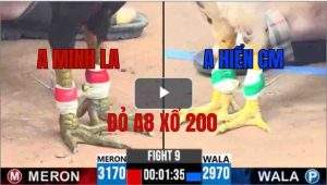 Trận 9 CPC3 25/05/2025