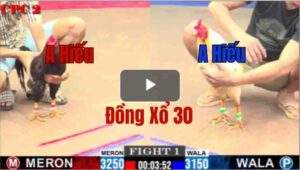 Trận 1 CPC2 4/6/2025