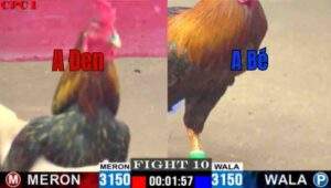 Trận 10 CPC1 28/6/2025