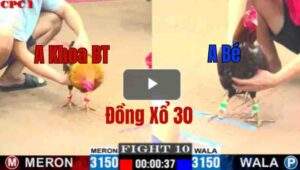 Trận 10 CPC1 7/6/2025