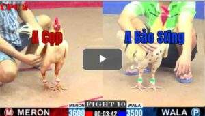 Trận 10 CPC2 25/6/2025