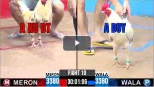 Trận 10 CPC3 28/6/2025