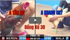 Trận 10 CPC3 5/6/2025