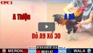 Trận 11 CPC1 5/6/2025