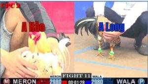 Trận 11 CPC2 27/6/2025