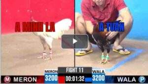 Trận 11 CPC3 28/6/2025