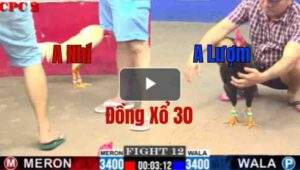 Trận 12 CPC2 4/6/2025