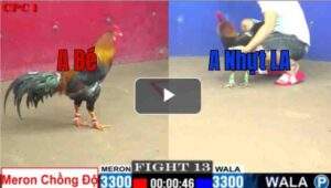 Trận 13 CPC1 26/6/2025