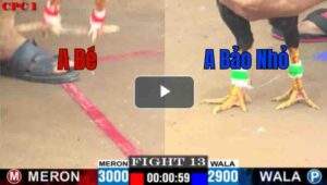 Trận 13 CPC1 28/6/2025