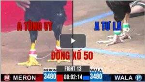 Trận 13 CPC3 11/06/2025