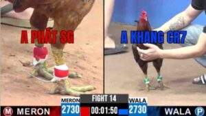 Trận 14 CPC1 24/6/2025