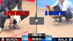 Trận 14 CPC3 29/6/2025