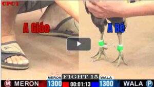 Trận 15 CPC1 30/6/2025