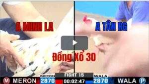 Trận 15 CPC3 5/6/2025